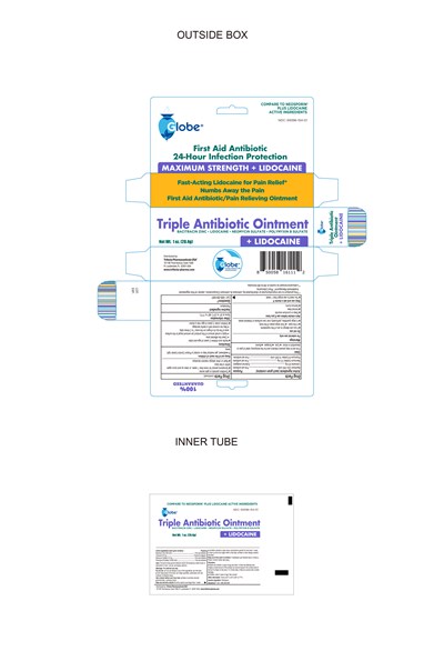 Globe Triple Antibiotic Ointment Plus Lidocaine 1oz 032224 Cder (Globe Triple Antibiotic Ointment Plus Lidocaine 1oz 032224 Cder)